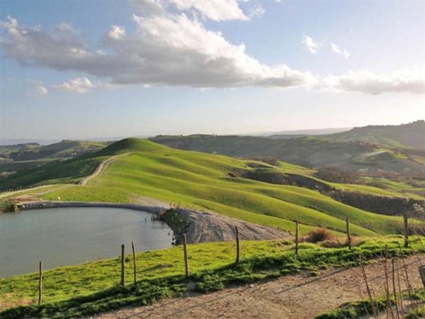 azienda agricola in vendita ad Asciano