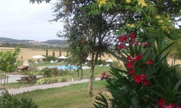 immagine annuncio 0 di 15