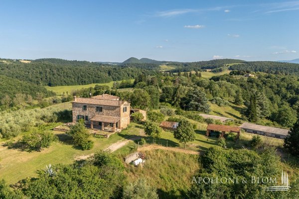 casa indipendente in vendita ad Asciano