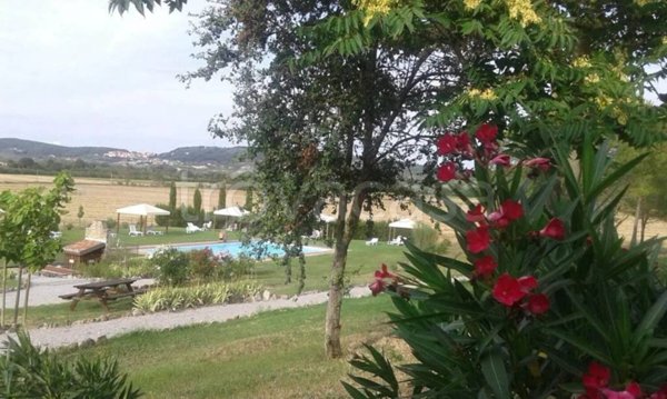 appartamento in vendita ad Asciano