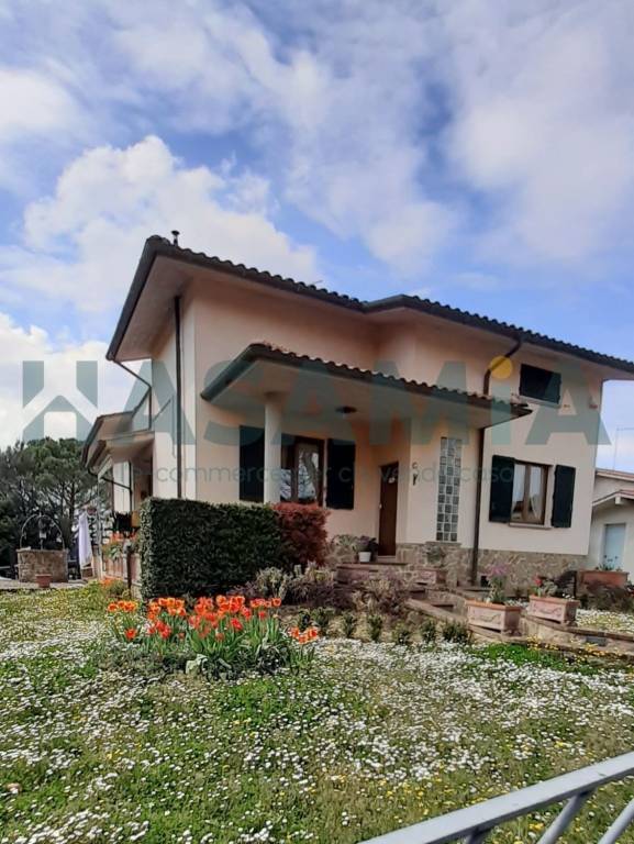 casa indipendente in vendita ad Asciano