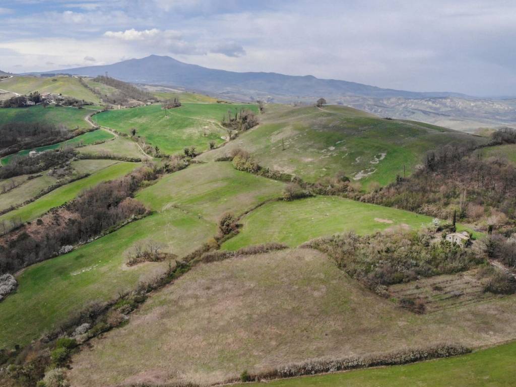 terreno agricolo in vendita ad Asciano