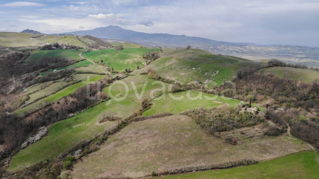 terreno agricolo in vendita ad Asciano