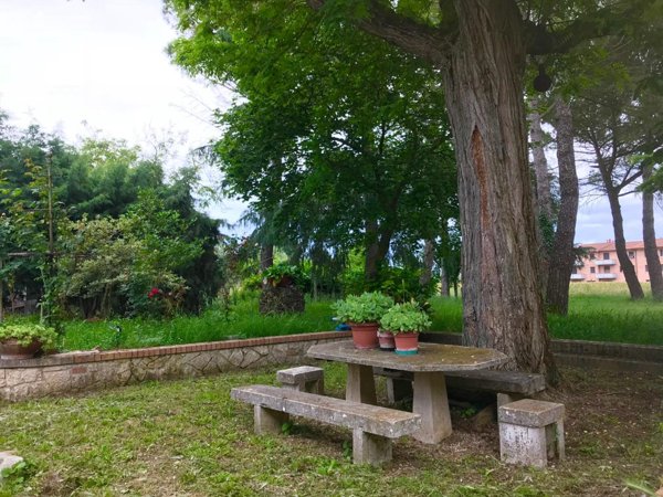 casa indipendente in vendita ad Asciano