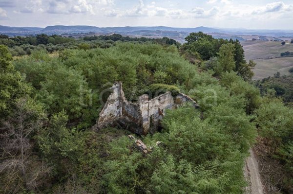 casa indipendente in vendita ad Asciano