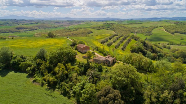 azienda agricola in vendita ad Asciano