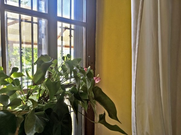 appartamento in vendita ad Asciano