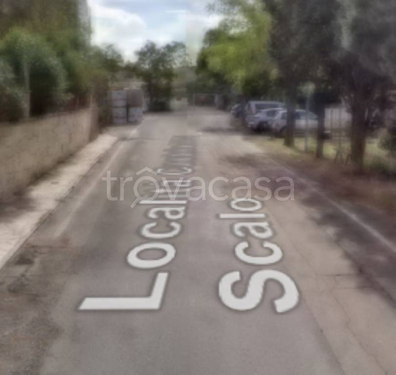 locale commerciale in vendita ad Asciano