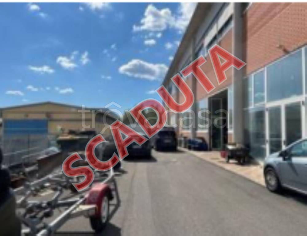 negozio in vendita ad Asciano