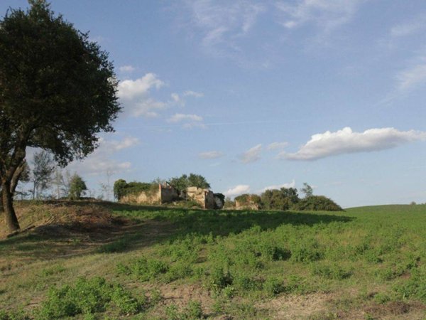 casa indipendente in vendita ad Asciano