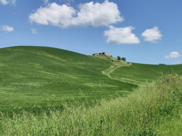 negozio in vendita ad Asciano