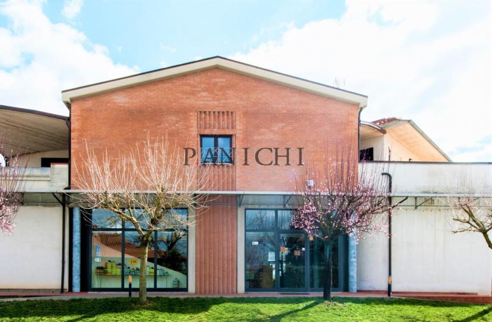 negozio in vendita ad Asciano