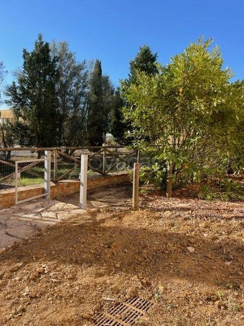 appartamento in vendita ad Asciano