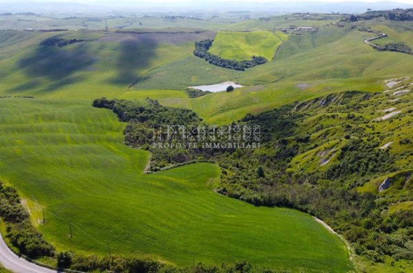 terreno agricolo in vendita ad Asciano