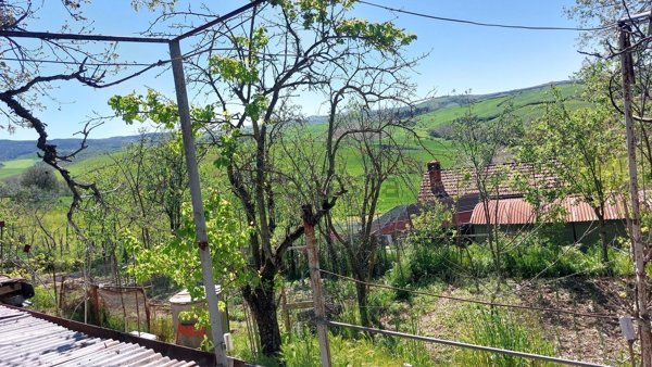 terreno agricolo in vendita ad Asciano