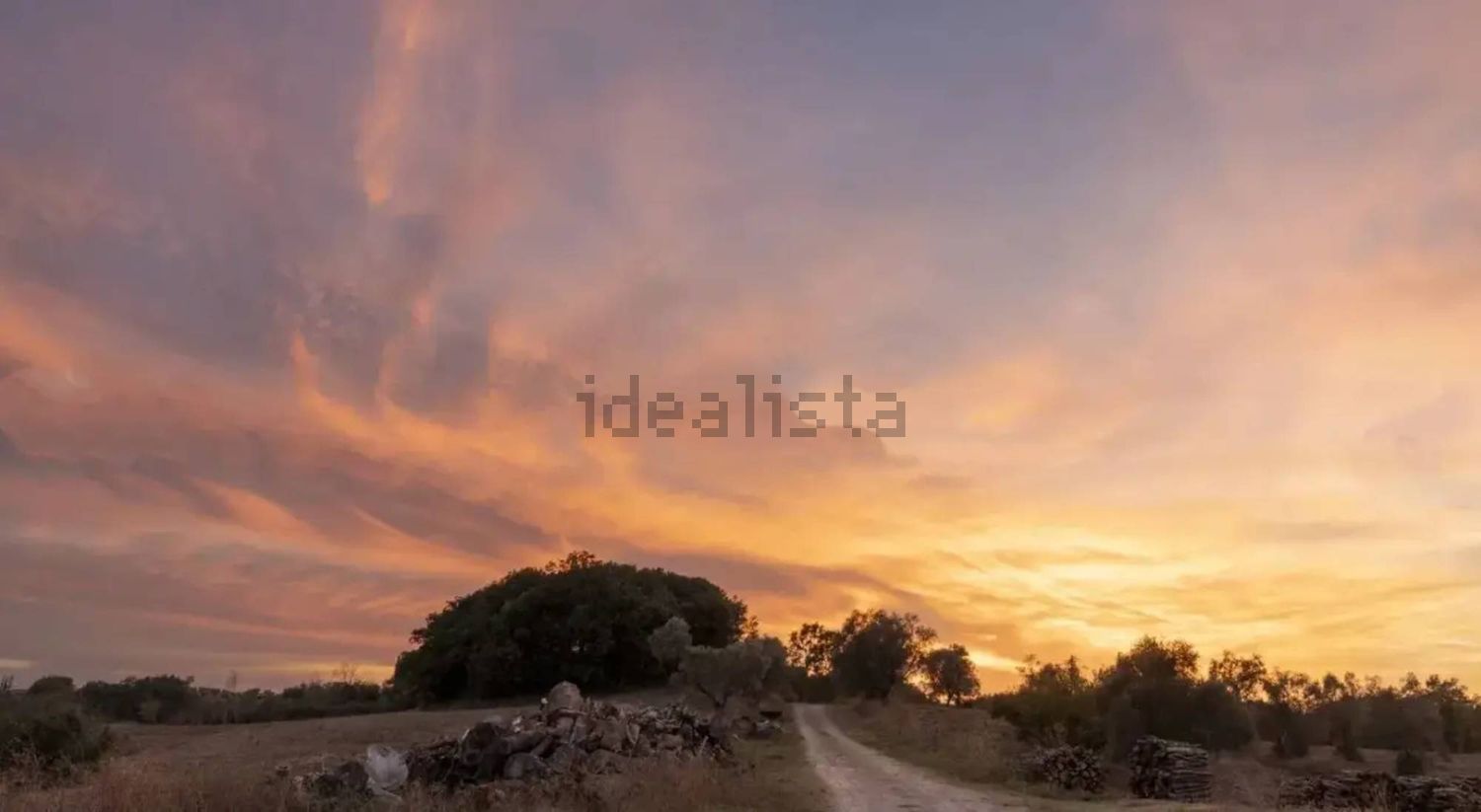 appartamento in vendita ad Asciano