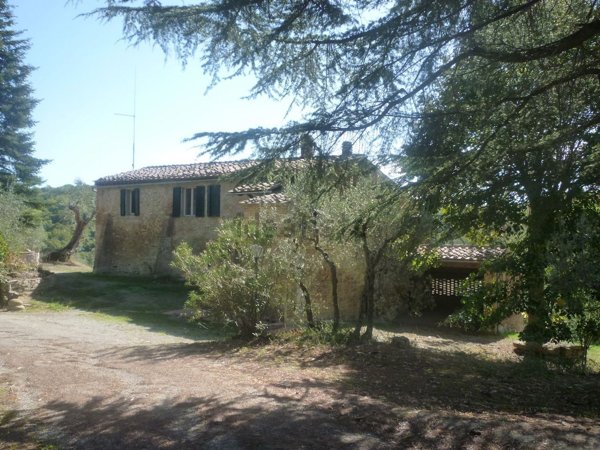 casa indipendente in vendita ad Asciano