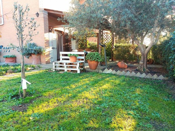 casa indipendente in vendita ad Asciano