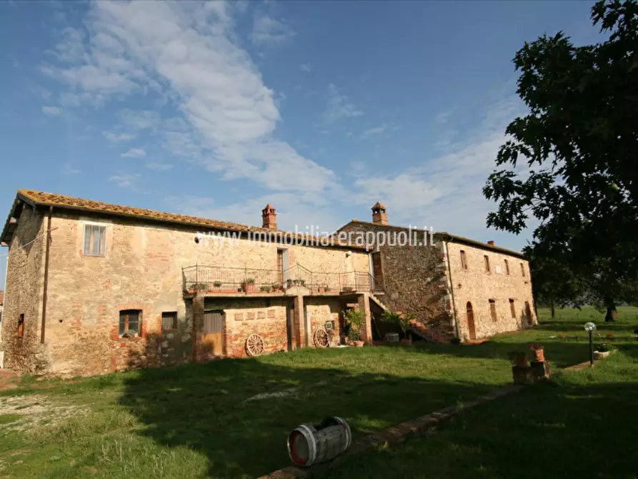 casa indipendente in vendita ad Asciano