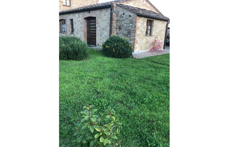 casa indipendente in vendita ad Asciano