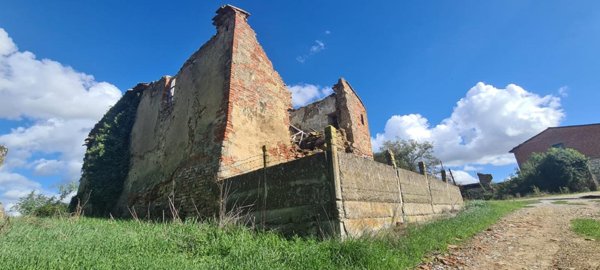 casa indipendente in vendita ad Asciano
