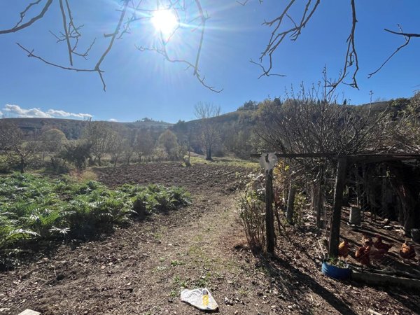 terreno agricolo in vendita ad Asciano