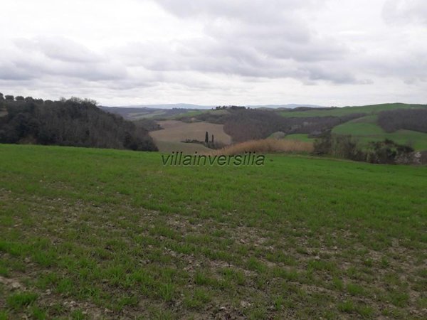 terreno agricolo in vendita ad Asciano