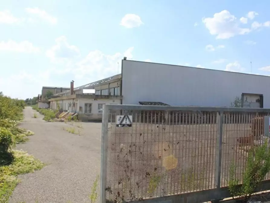 appartamento in vendita ad Asciano