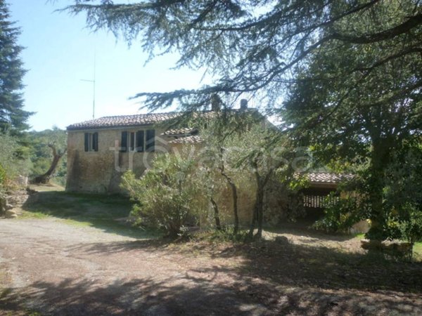 casa indipendente in vendita ad Asciano in zona Chiusure