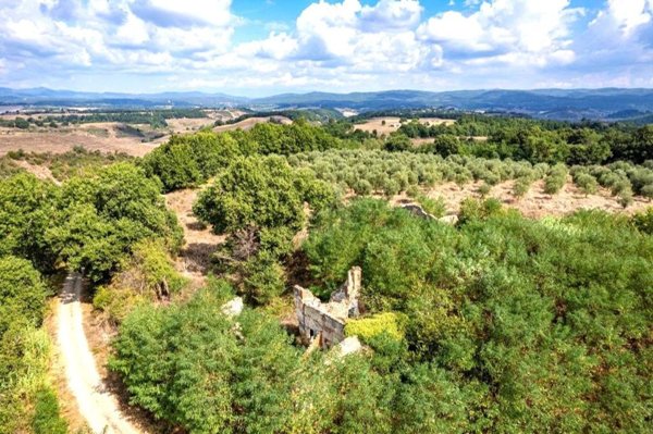 casale in vendita ad Asciano