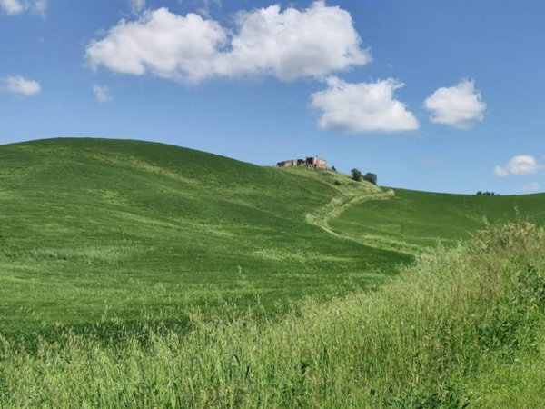casa indipendente in vendita ad Asciano