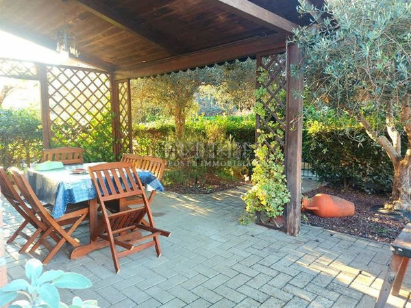 casa indipendente in vendita ad Asciano