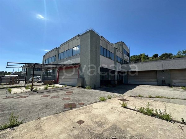 locale commerciale in vendita ad Asciano in zona Arbia