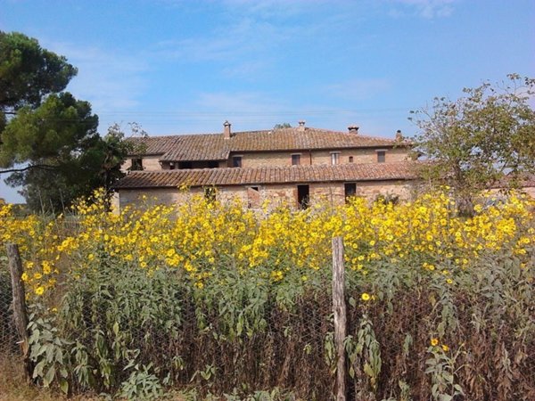 casa indipendente in vendita ad Asciano