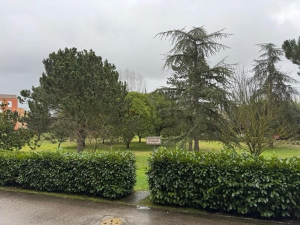 appartamento in vendita ad Asciano in zona Arbia