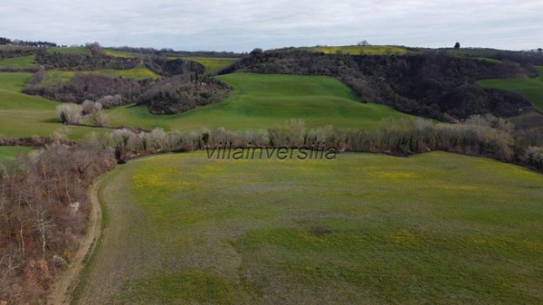 terreno agricolo in vendita ad Asciano