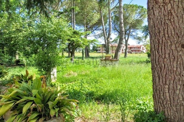 casa indipendente in vendita ad Asciano