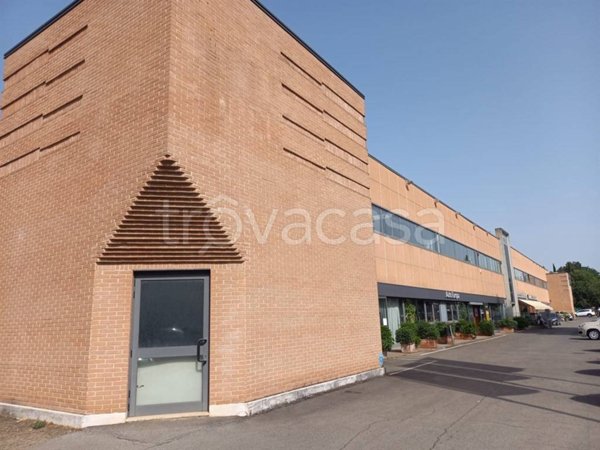 negozio in vendita ad Asciano in zona Arbia