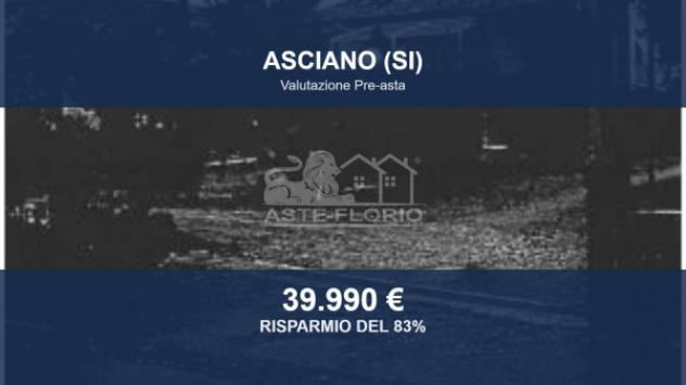 locale commerciale in vendita ad Asciano in zona Arbia