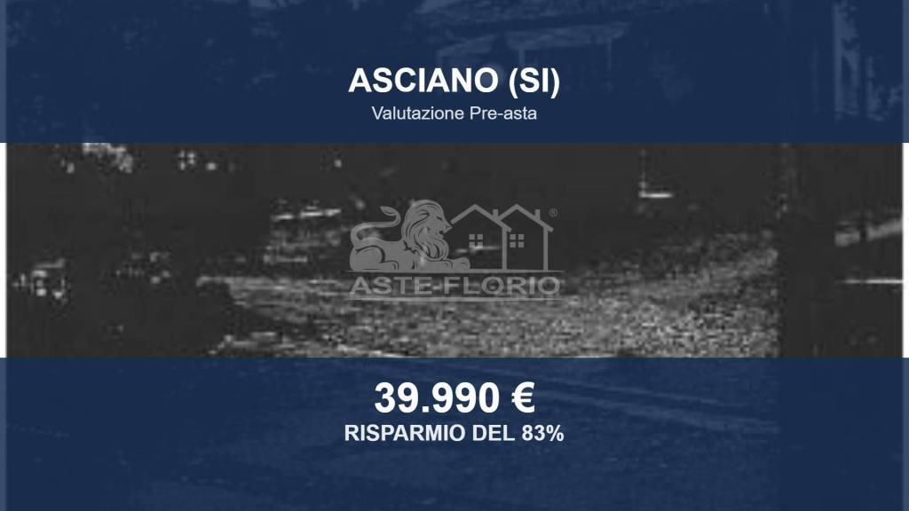 locale commerciale in vendita ad Asciano in zona Arbia