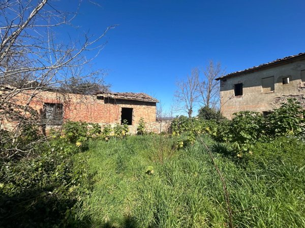 casa indipendente in vendita ad Asciano in zona Torre a Castello