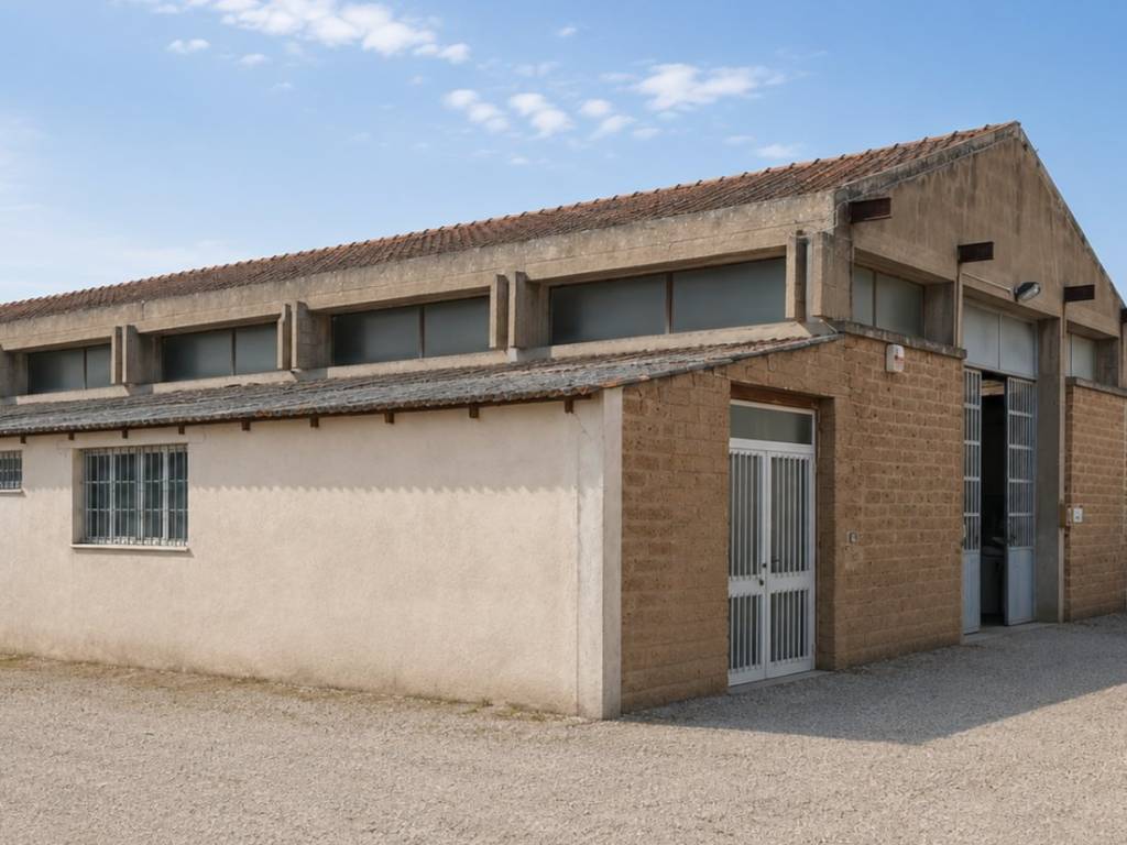 locale commerciale in vendita ad Asciano
