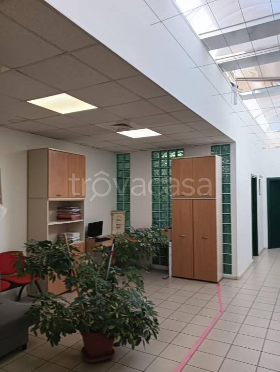 ufficio in vendita ad Asciano in zona Arbia