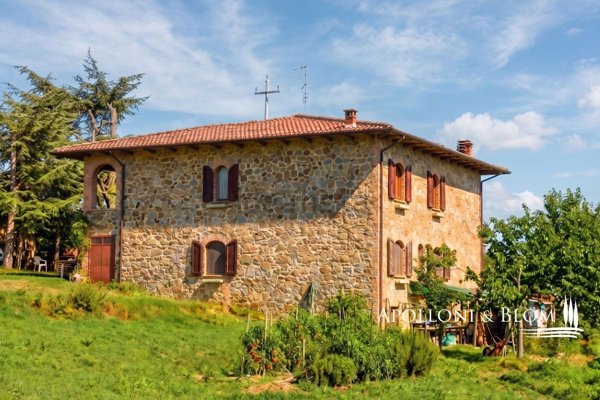 casa indipendente in vendita ad Asciano