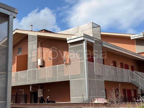 casa indipendente in vendita ad Asciano in zona Arbia