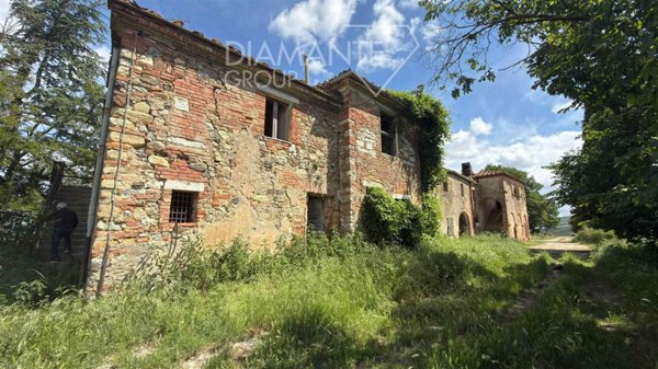 azienda agricola in vendita ad Asciano