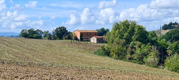 casale in vendita ad Asciano