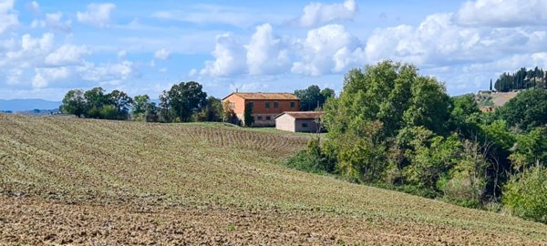 casale in vendita ad Asciano