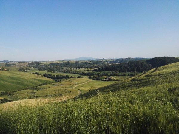 casale in vendita ad Asciano