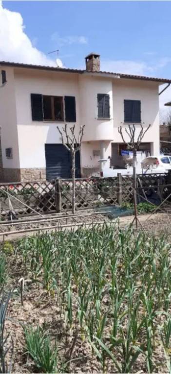 casa indipendente in vendita ad Asciano